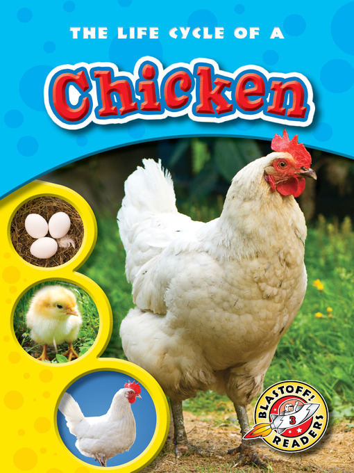 Title details for The Life Cycle of a Chicken by Colleen Sexton - Available